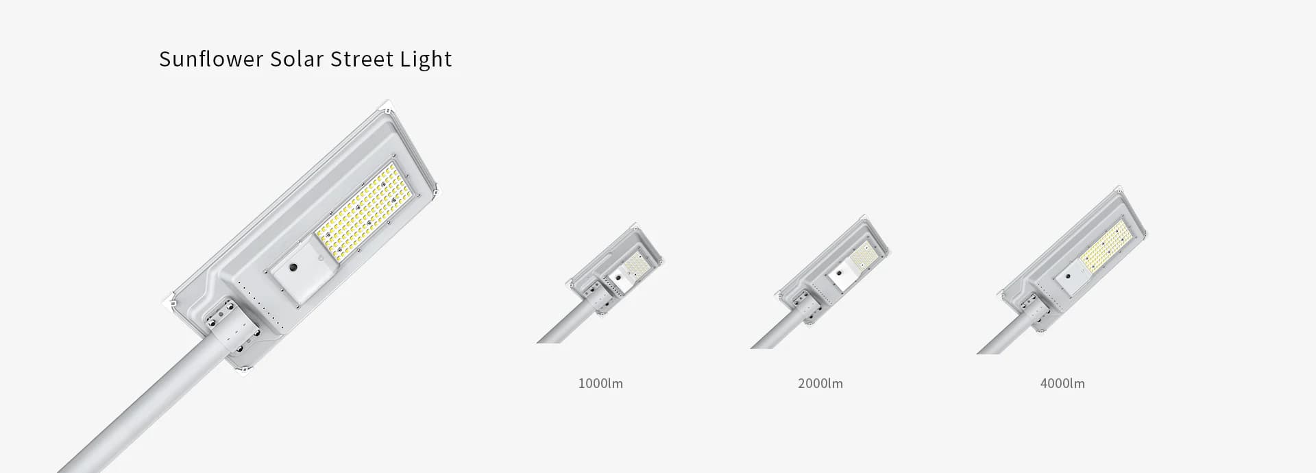 Sunflower solar street light model variants lineup